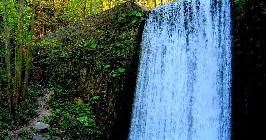 Bursa Çıkışlı Günübirlik Ormanya, Maşukiye, Sapanca Turu